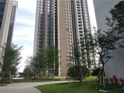 2021龙华观澜首发！【 鸿 基 新 都 】规划【 鸿 基 新 都 】简介【 鸿 基 新 都 】