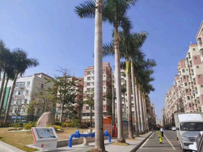 大岭山《松湖领域》4月10日开启  松湖碧桂园零距离，俩房26.8万起