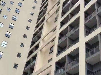 虎门北栅【仁中·城芯园】大阳台，大飘窗，户型方正，无横梁，南北通透均价4200起