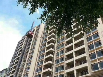 东莞长安滨海中心区（猫山一号公馆）双地铁口物业，三栋联排大盘