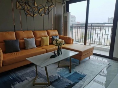 东莞长安【海岸新城2期】南北通透，采光无敌自带停车场智能物业