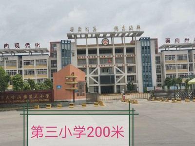 2021大岭山首发（大塘公馆）划（大塘公馆）简介（大塘公馆）全球上市