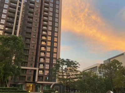 全国首发！龙华观澜新城）规划（观澜新城）简介（观澜新城）隆重上市！