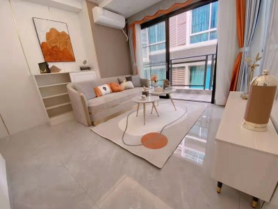 民治沙元埔《民治金典》民治地铁口200米《民治金典》精装修新盘历史