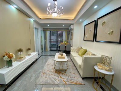 深圳坂田（十号公寓）绝对的繁华中心生活（十号公寓）电梯精装洋房，几百米旁双地铁口旁