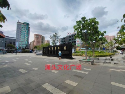 东莞长安涌头《东宝家园》小产权房 宝安松岗零距离 旁边即是公园