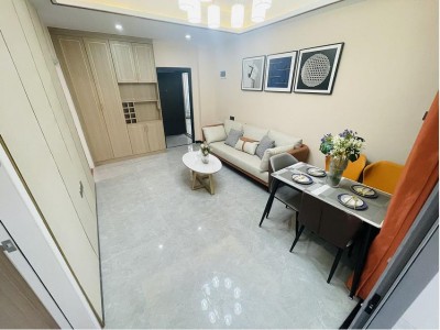 龙华大浪《浪口豪苑》小产权房 一梯三户 大阳台落地窗