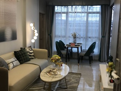 塘厦【南站新城】  一站深圳北塘厦，林村高速出口旁 四栋350套品质楼盘