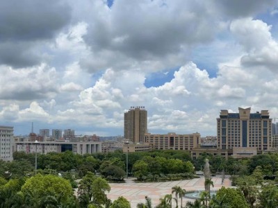 大岭山【凯东壹号】商业街第一排 地铁口500米 首付只需5⃣万元起