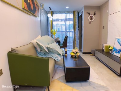 坂田地铁口拆迁房【侨联西苑】户户无敌采光，送豪华精装修