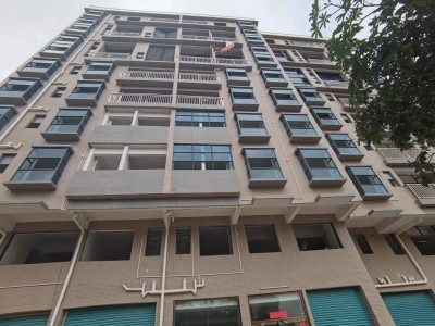 大岭山《依山铭居》500米东莞地铁1号线松山湖站，距离松山湖第一小学