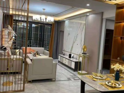 长安乌沙-前海西岸 四栋花园社区 带天然气 分期8年，均价9800