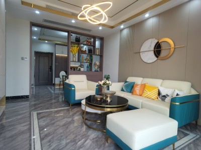 凤岗深圳北-【凤凰国际】四栋大型280套小区、首付8.8万起使用率高