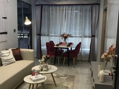 塘厦石马【新城壹号】6栋花园19.8万一套起