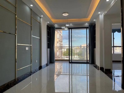 东莞长安西大路《学府四号》小产权房 358省道100米 西大路边上 出入方便 视野开阔 33.8万一套起 无条件分期