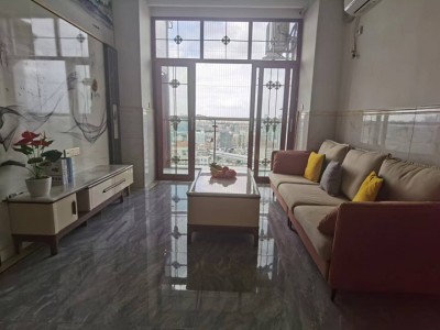 龙华龙胜（龙胜天颂）村委统建楼（龙胜天颂）45.5万起/套,双地铁口,通燃气