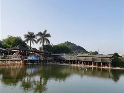 大岭山鸡翅岭「金苹果家园」三房33.6万任选，无条件分期五年