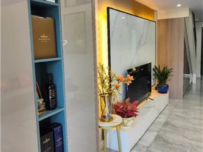 东莞凤岗《壹号公馆二期》准现楼交房送精装，每平10800元/起