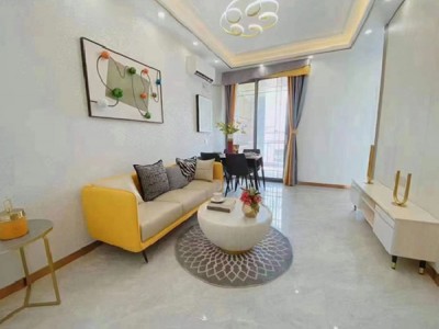 大浪龙华中心城产权性质？2022大浪龙华中心城）总价38.8万起/套 带精装、通燃气