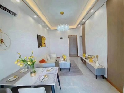 大浪【龙华中心城】独栋电梯房，总价38.8万/套起 带精装，通燃气