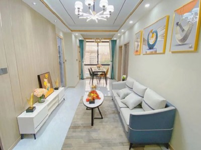 龙华天虹商场【公园大地】独栋电梯房、两房首付36万，可分期六年