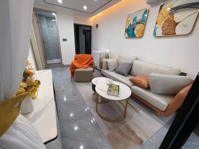 龙华大浪壹号产权性质？2022龙华大浪壹号）规划简介（大浪壹号）特价68.8万带精装