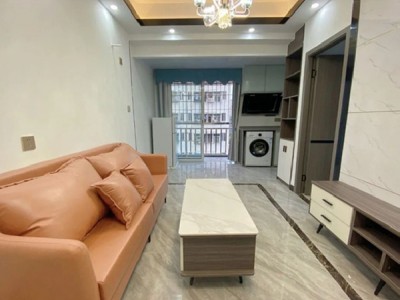 坂田双地铁口物业【坂田公馆】总价52.8万 /套起 送豪华精装修 准拆迁物业