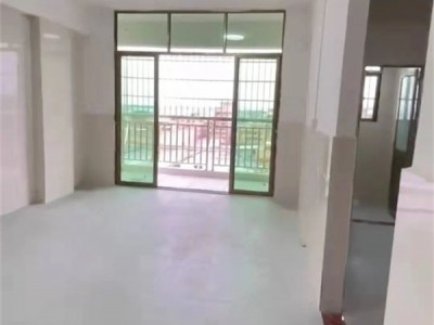 东莞横沥-村尾雅苑为什么这么便宜？东莞横沥-村尾雅苑值得购买吗？