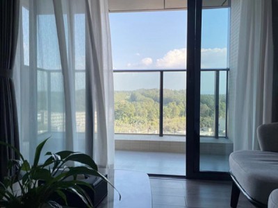 龙华观澜壹品产权性质？2022龙华观澜壹品）规划简介（观澜壹品）花园小区房 均价2.4万/㎡