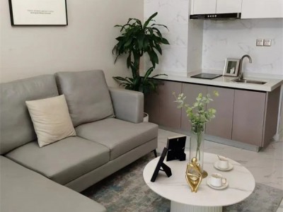 罗湖金熙·CEO公馆在哪里？能买吗？罗湖红本公寓(金熙·CEO公馆)均价49800元精装修