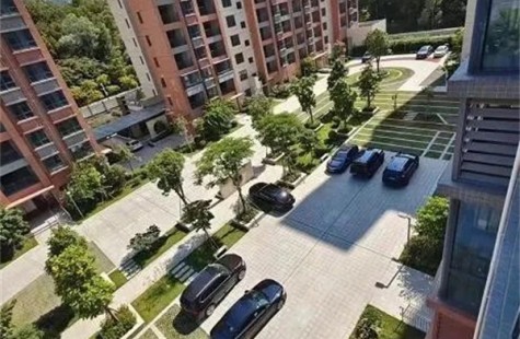 观澜-龙观御景台