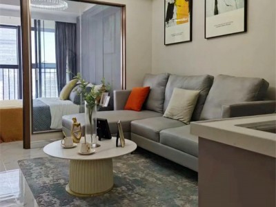 罗湖金熙·CEO公馆产权性质？2022罗湖金熙·CEO公馆）红本精装公寓 均价49800元