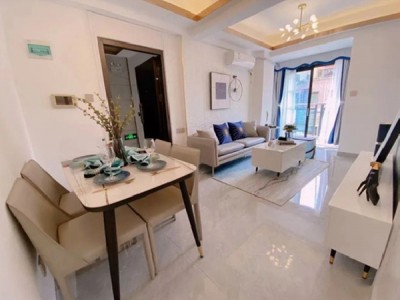 龙华元芬地铁口300米【幸福公馆】两房首付27万起可落户可读公立学校