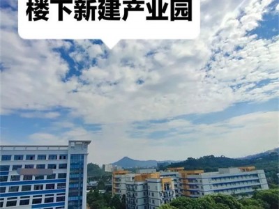 东莞大塘二号在哪里？能买吗？(大塘二号)三房总价29.8万起，可分期5年