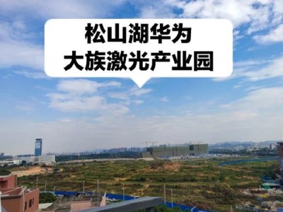 东莞大岭山-大塘二号为什么这么便宜？东莞大岭山-大塘二号值得购买吗？