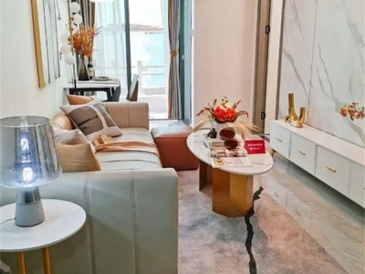 龙岗阳光城在哪里？能买吗？坂田零距离‮地双‬铁口(阳光城)总价52.8万起，村委物业盖章