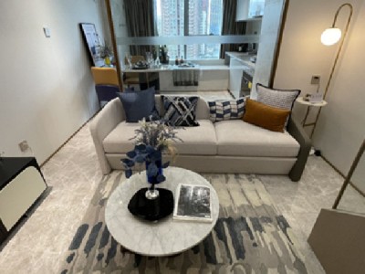 罗湖口岸【万象新天地】通燃气，超150%使用率 ，2房总价90万起，分期10年