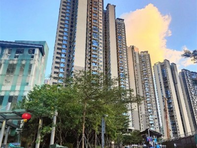 龙华顺泰中晟产权性质？2022龙华顺泰中晟）规划简介（顺泰中晟）首付26万起 买独立红本