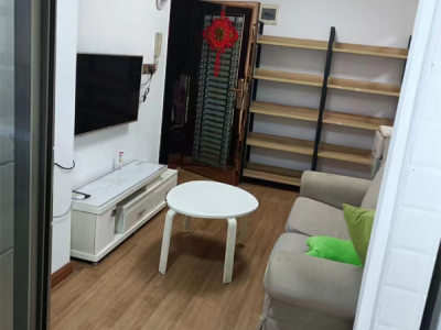 龙华星河雅居产权性质？2022龙华星河雅居）总价58.8万起/套，精装现房