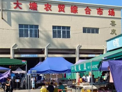 东莞大岭山-大塘二号为什么这么便宜？东莞大岭山-大塘二号值得购买吗？