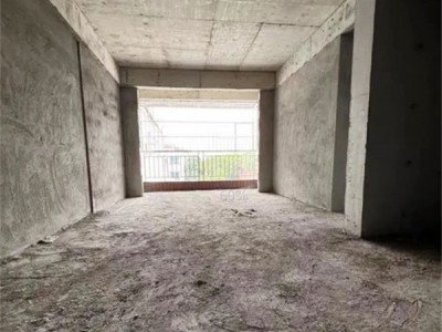 塘厦振兴围两栋统建楼【振兴豪苑】户型方正 无敌采光，均价5980/平米