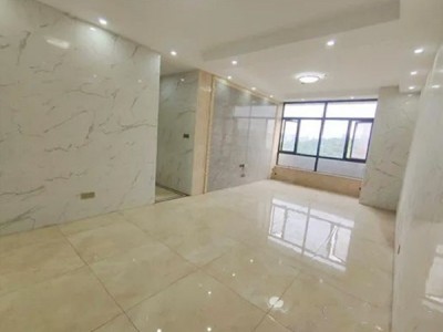 东莞厚街寮厦-东泰华府为什么这么便宜？东莞厚街寮厦-东泰华府值得购买吗？