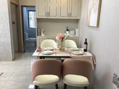 塘厦新城壹号产权性质？2023塘厦新城壹号）规划简介（新城壹号）总价19.8万起 精装交楼