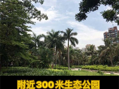 长安金沙国际产权性质？2023长安金沙国际）规划简介（金沙国际）地铁口物业，均价6500元/㎡ 天然气入户