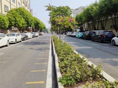 大岭山大环村【胜龙一号】森林公园旁，两房总价11.8万/套起，自带停车场【免费】