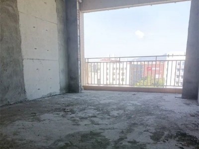 东莞大岭山《大塘国际》4栋规模 有大型村委停车场，总价8.8万起，可零首付 分期8年