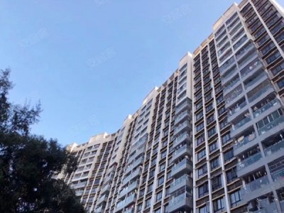 宝安沙井-公园名城房价怎么样？宝安沙井-公园名城值得购买吗？