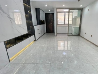 宝安丽湖花园在哪里？能买吗？石岩3栋村委统建楼 (丽湖花园) 3房99.8万套 带精装修，首付5成，分期5年
