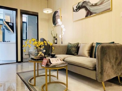 罗湖梧桐玖苑在哪里？能买吗？罗湖独栋封闭式管理 (梧桐玖苑) 精装一房首付40万起，可分期五年