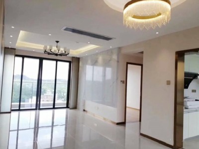 龙华龙华大道一号在哪里？能买吗？观澜9栋花园 (龙华大道一号) 复式三房首付26万 通天然气 带停车场